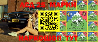 амф Новодвинск