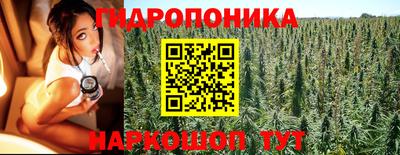 амф Новодвинск